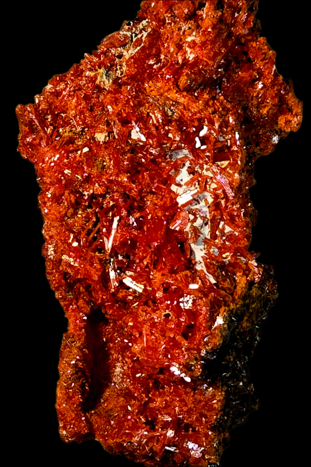 CROCOITE (miniature)