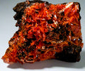CROCOITE, MINE DE PLOMB ROUGE, TASMANIE (miniature)