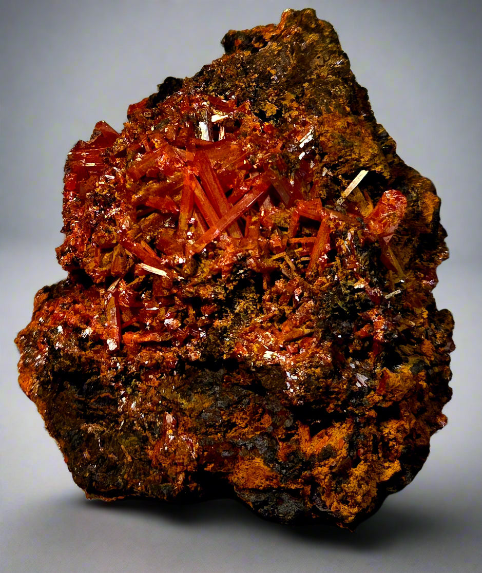Mineral sample with red-orange crystals on a dark brown matrix