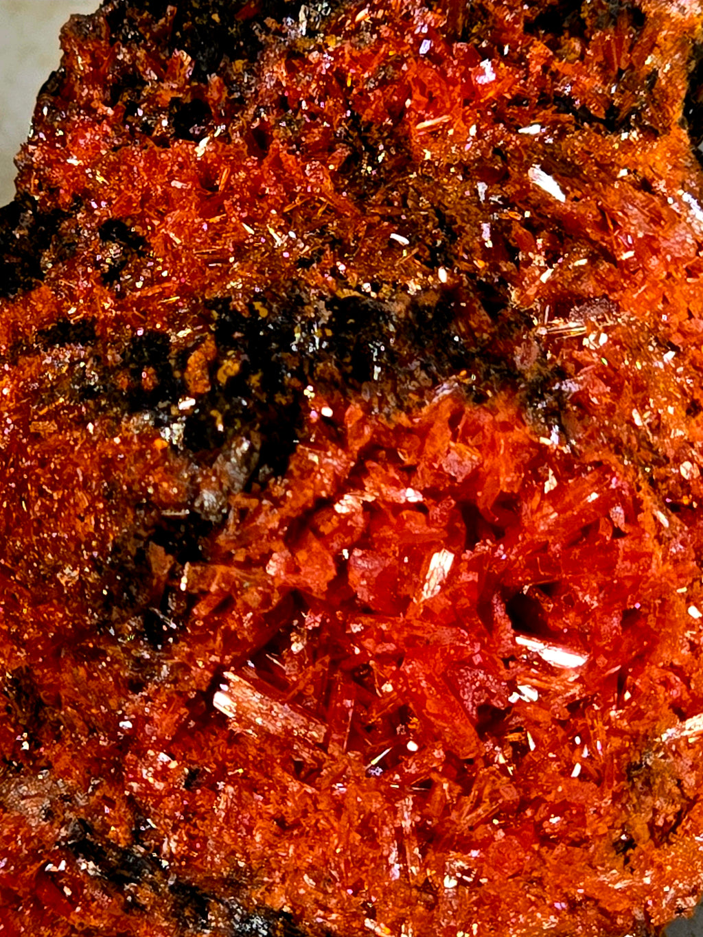 CROCOITE (miniature)