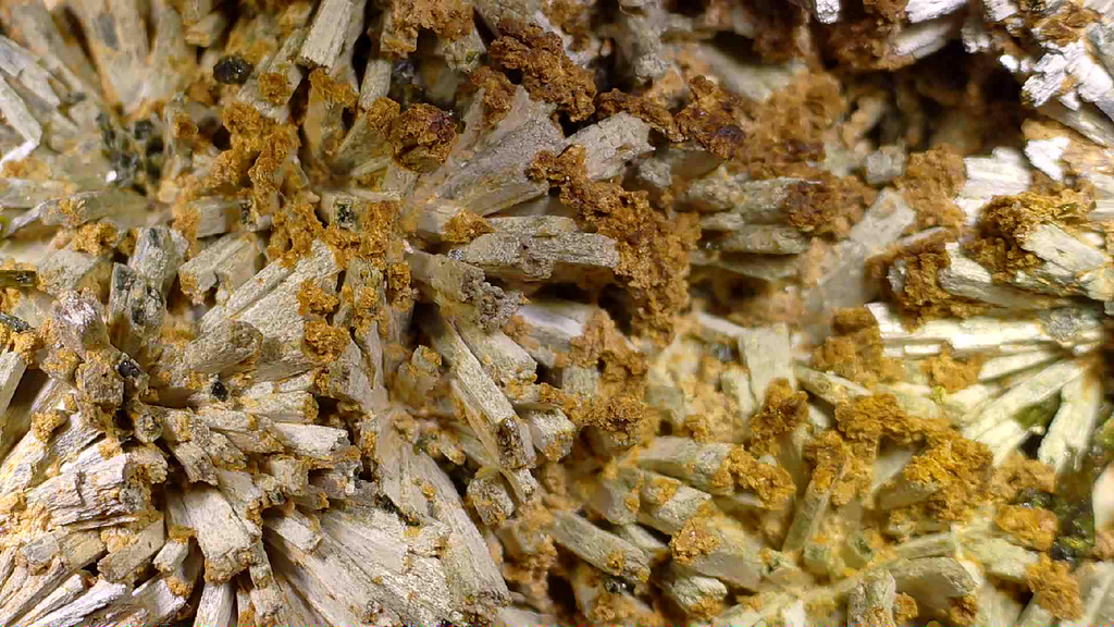 ACTINOLITE, EPIDOTE, ANDRADITE, SKARN, MAGNETITE