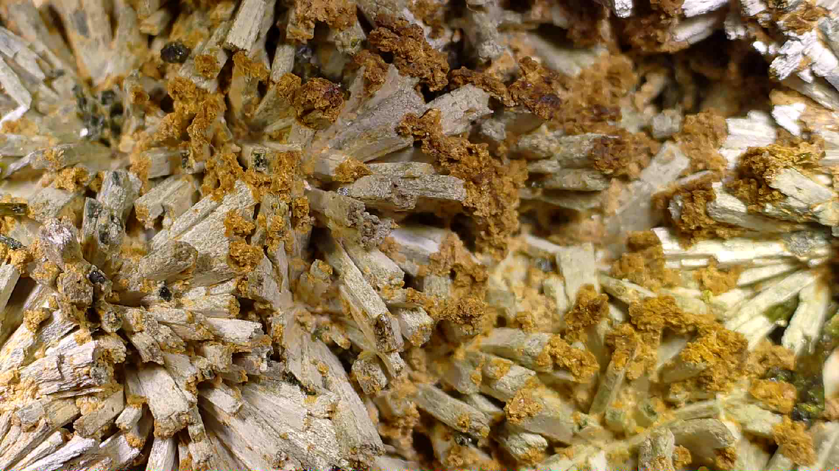 ACTINOLITE, EPIDOTE, ANDRADITE, SKARN, MAGNETITE