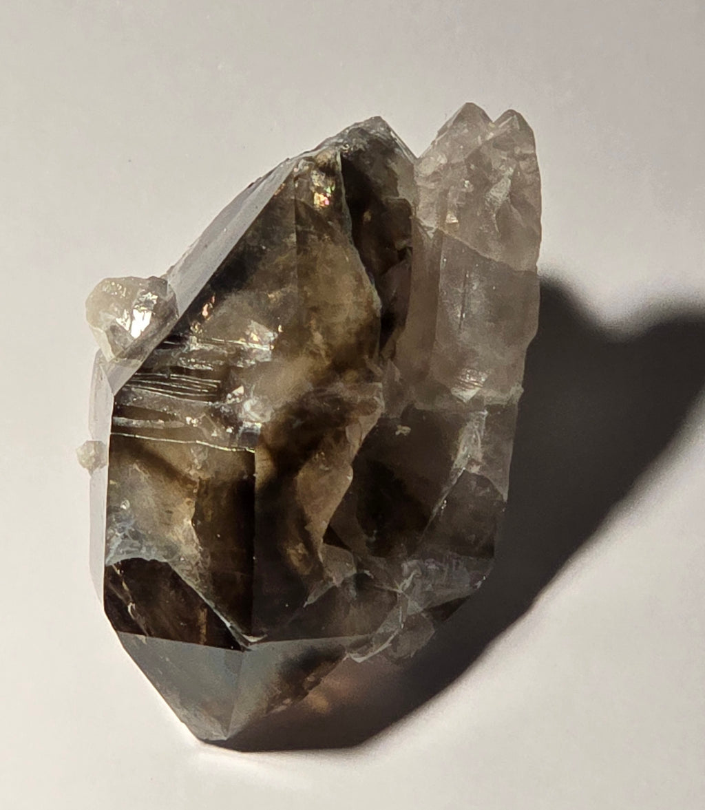 QUARTZ MOORALLA SMOKEY (miniature)