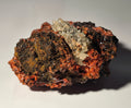 CROCOITE WITH CERUSSITE (small cabinet) VERY RARE AND UNUSUAL COMBO, RED LEAD MINE, TASMANIA