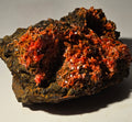 CROCOITE (small cabinet), RED LEAD MINE, TASMANIA