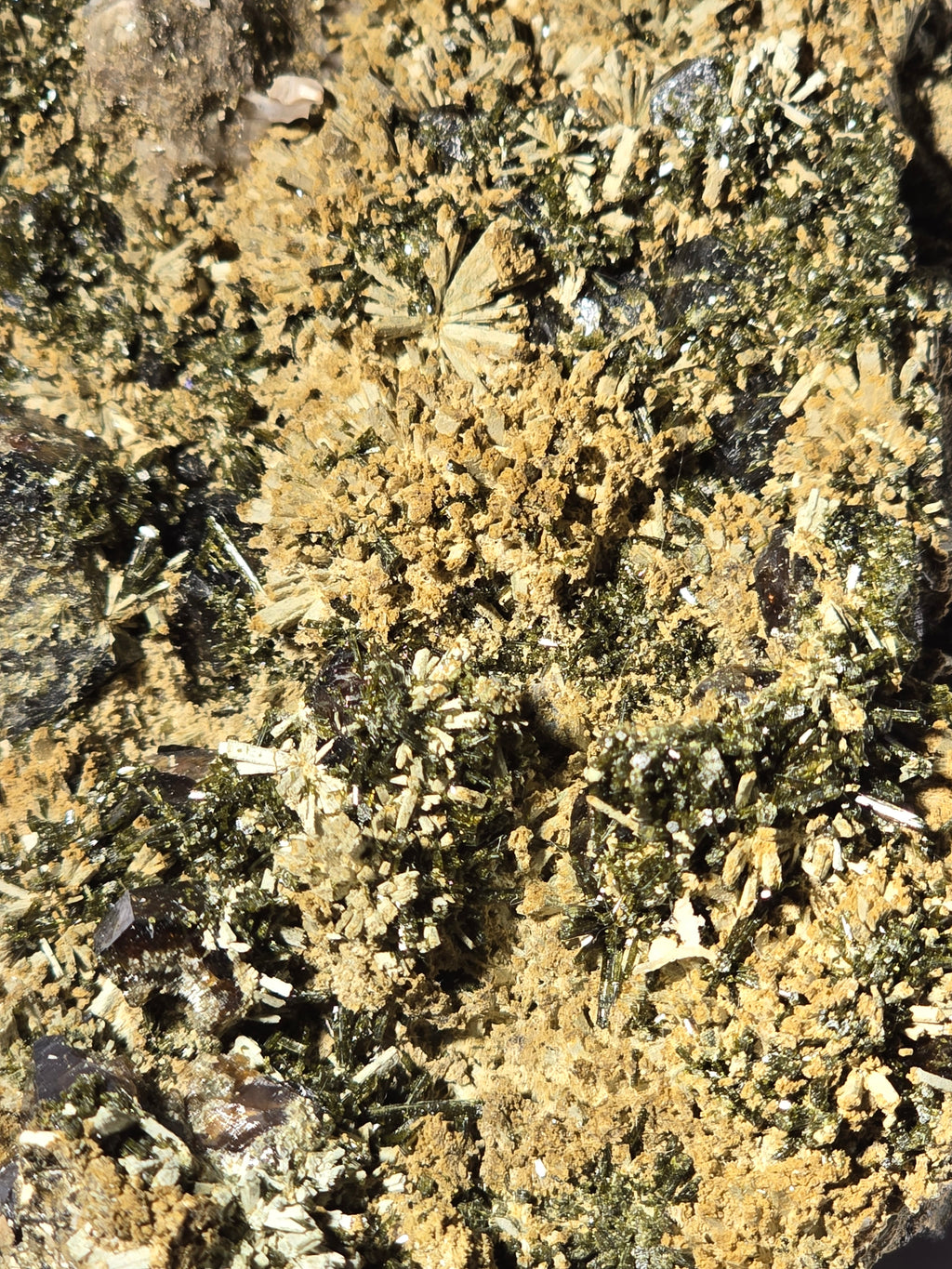 ANDRADITE with ACTINOLITE (cabinet)