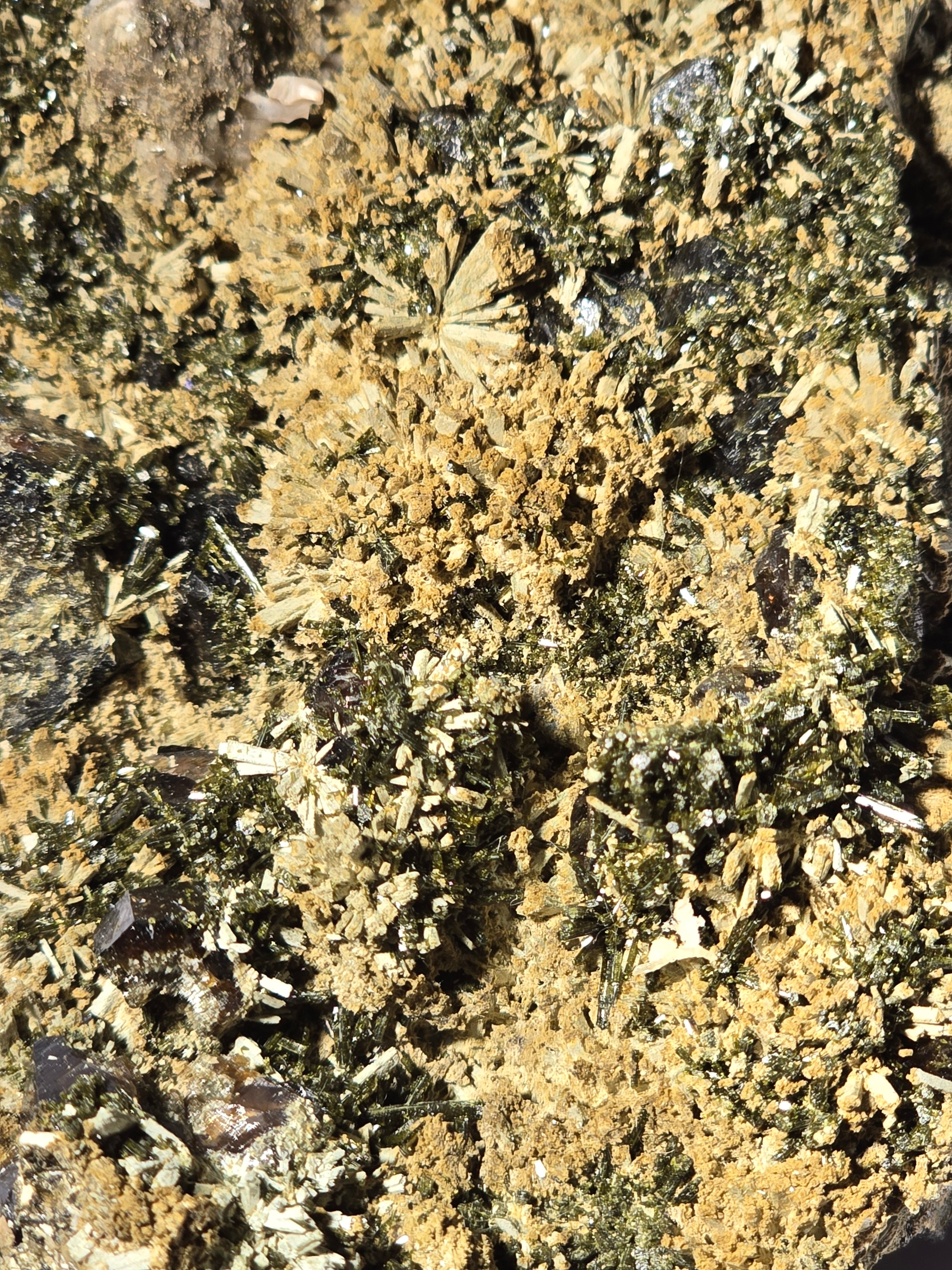 ANDRADITE with ACTINOLITE (cabinet)