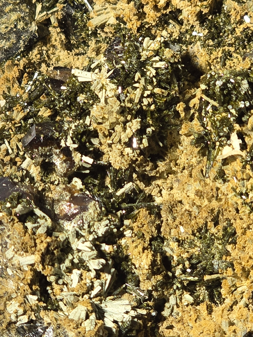 ANDRADITE with ACTINOLITE (cabinet)