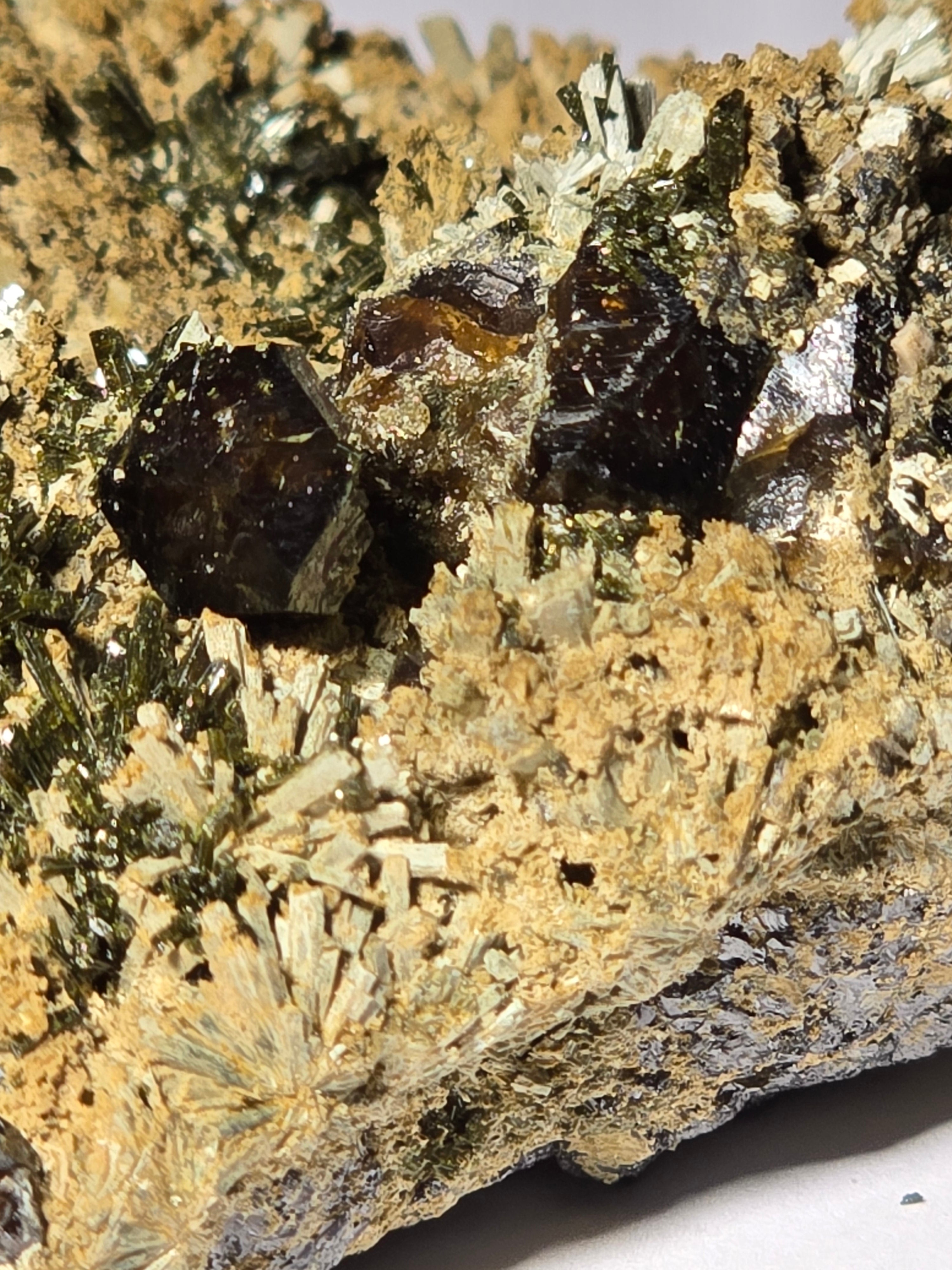 ANDRADITE with ACTINOLITE (cabinet)
