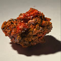 CROCOITE (miniature), MINE DE PLOMB ROUGE, TASMANIE