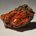 CROCOITE (miniature), RED LEAD MINE, TASMANIA