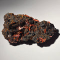 CROCOITE (small cabinet), RED LEAD MINE, TASMANIA