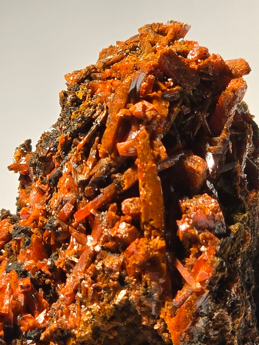 CROCOITE (miniature)
