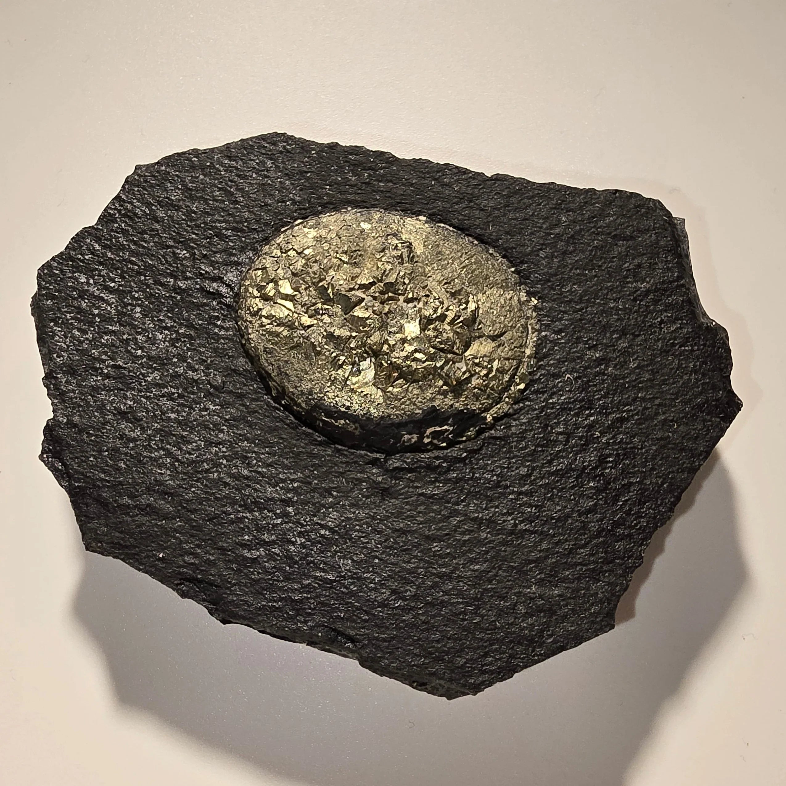 Pyrite in Shale Matrix, Golden Cubic Crystals on Dark Rock Specimen