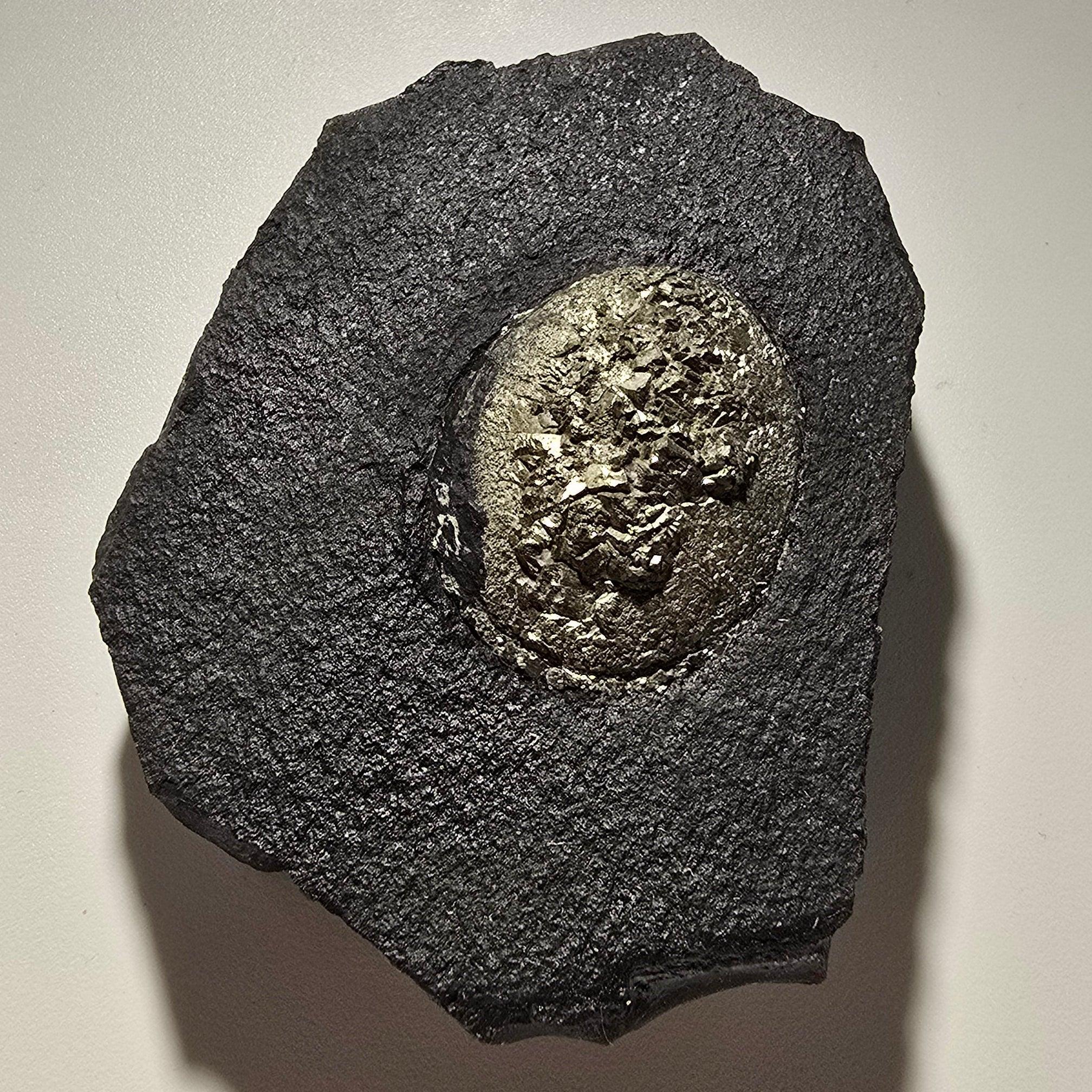 Pyrite in matrix, metallic gold crystals on dark rock, mineral specimen for collectors