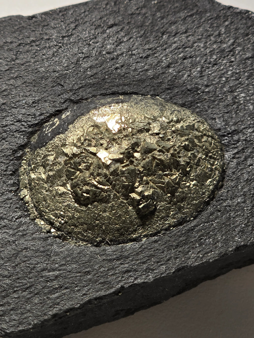 Pyrite in shale matrix, golden cubic crystals embedded in dark rock, mineral specimen for collectors