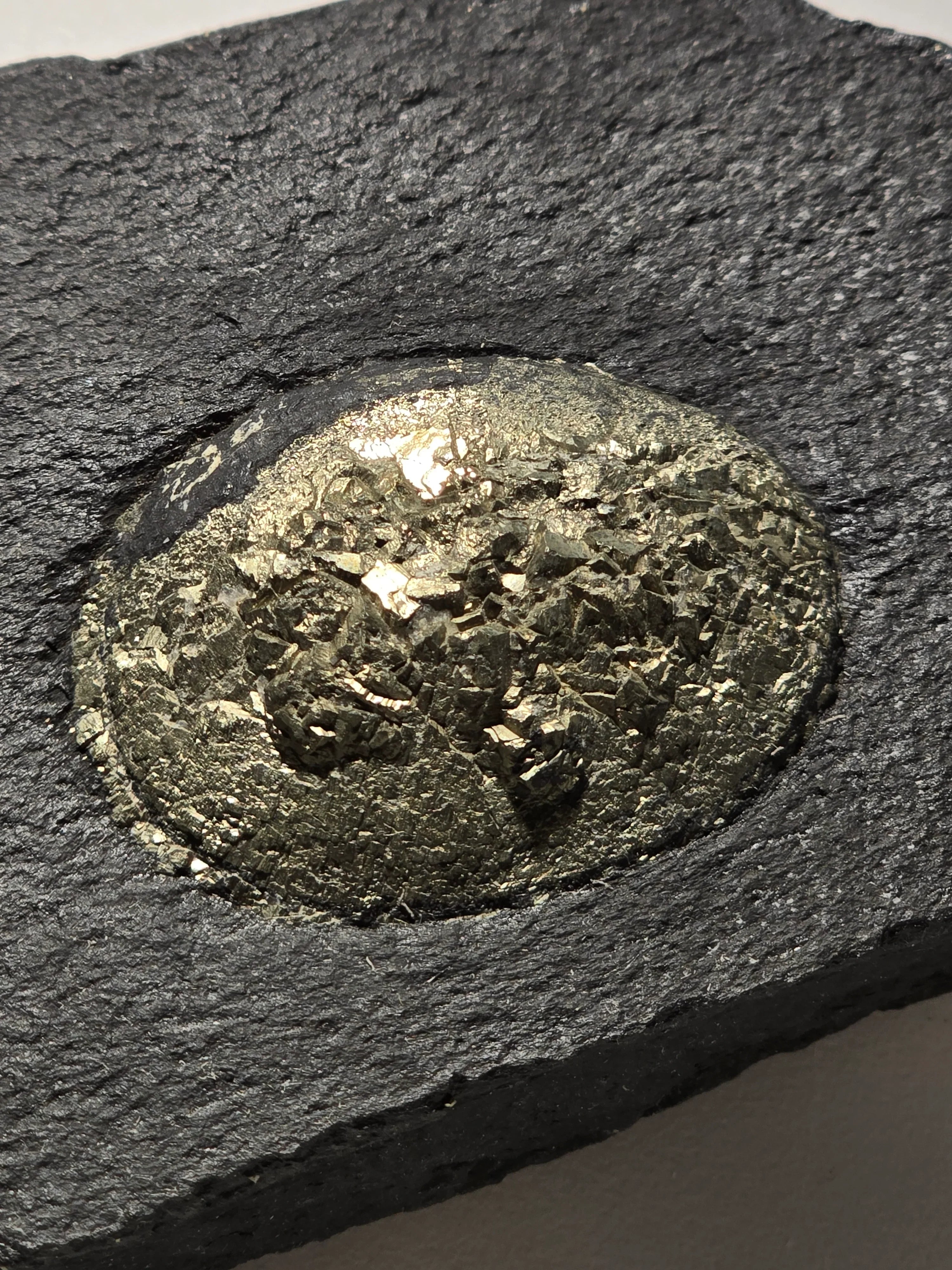 Pyrite in shale matrix, golden cubic crystals embedded in dark rock, mineral specimen for collectors