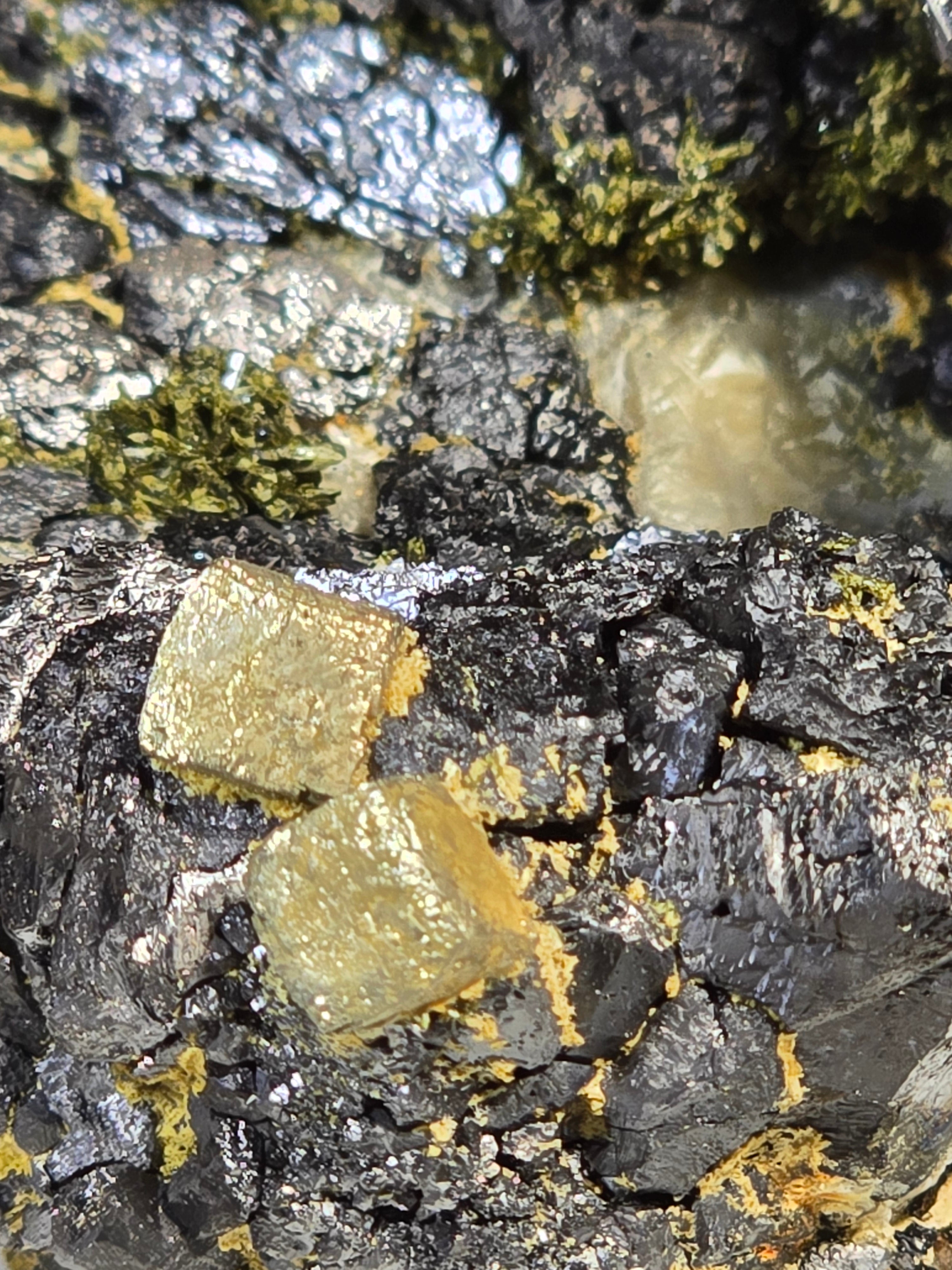 MAGNETITE, ACTINOLITE AND PYRITE, A RARE COMBO FROM THE KARA MINE, TASMANIA