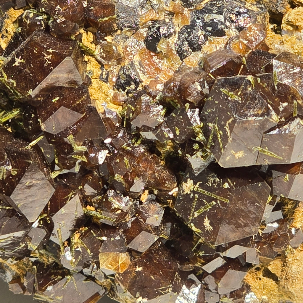 ANDRADITE (small cabinet) BIG CRYSTALS