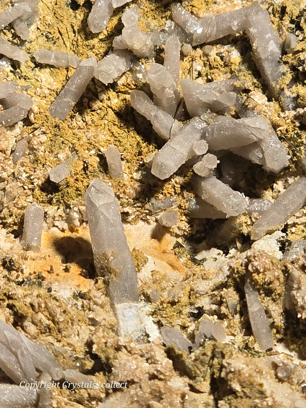 Gypsum crystals on matrix, translucent white needles, mineral specimen for collectors