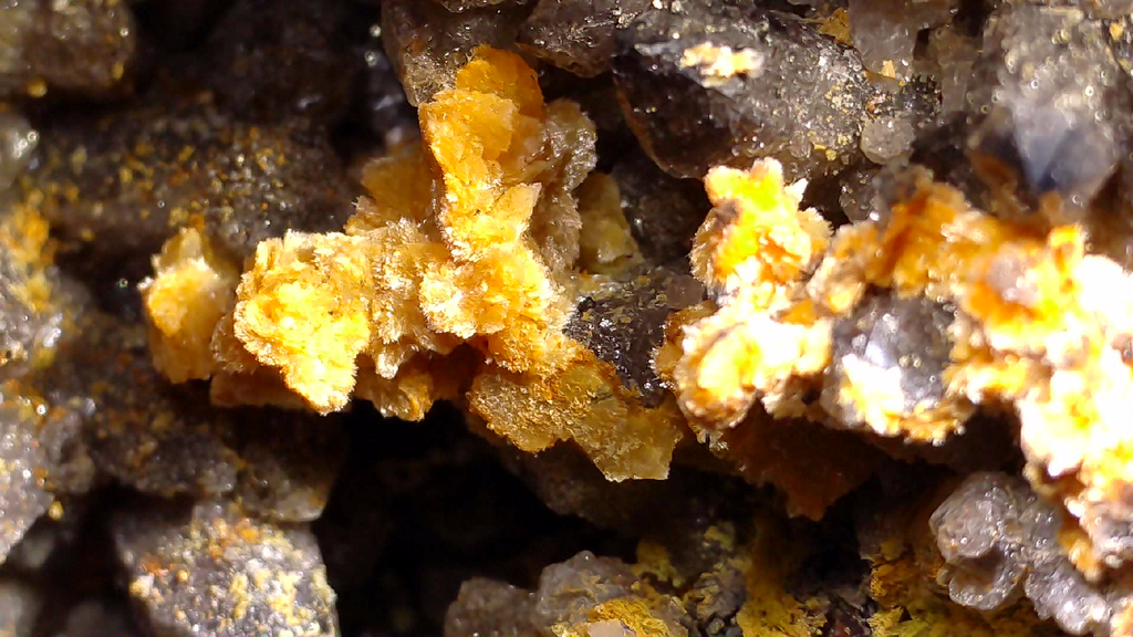 STOLZITE ON QUARTZ (small cabinet), KARA MINE, HAMPSHIRE, TASMANIA (ONLY SPECIMEN KNOWN)