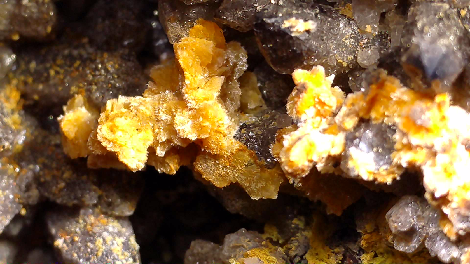 STOLZITE ON QUARTZ (small cabinet), KARA MINE, HAMPSHIRE, TASMANIA (ONLY SPECIMEN KNOWN)