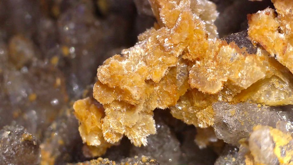 STOLZITE ON QUARTZ (small cabinet), KARA MINE, HAMPSHIRE, TASMANIA (ONLY SPECIMEN KNOWN)