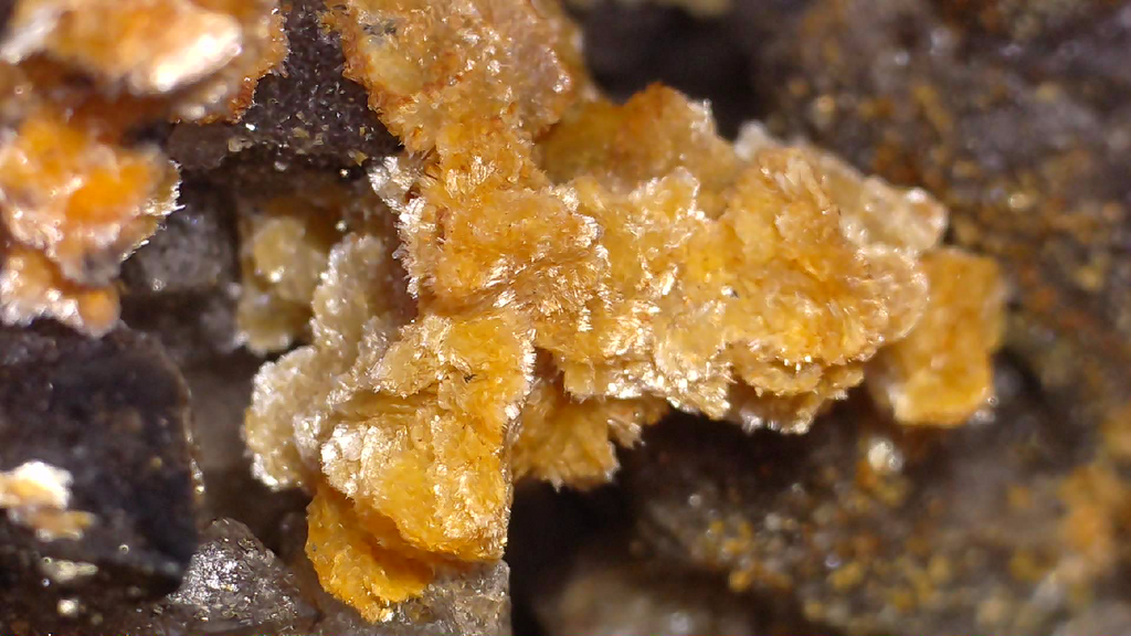 STOLZITE ON QUARTZ (small cabinet), KARA MINE, HAMPSHIRE, TASMANIA (ONLY SPECIMEN KNOWN)