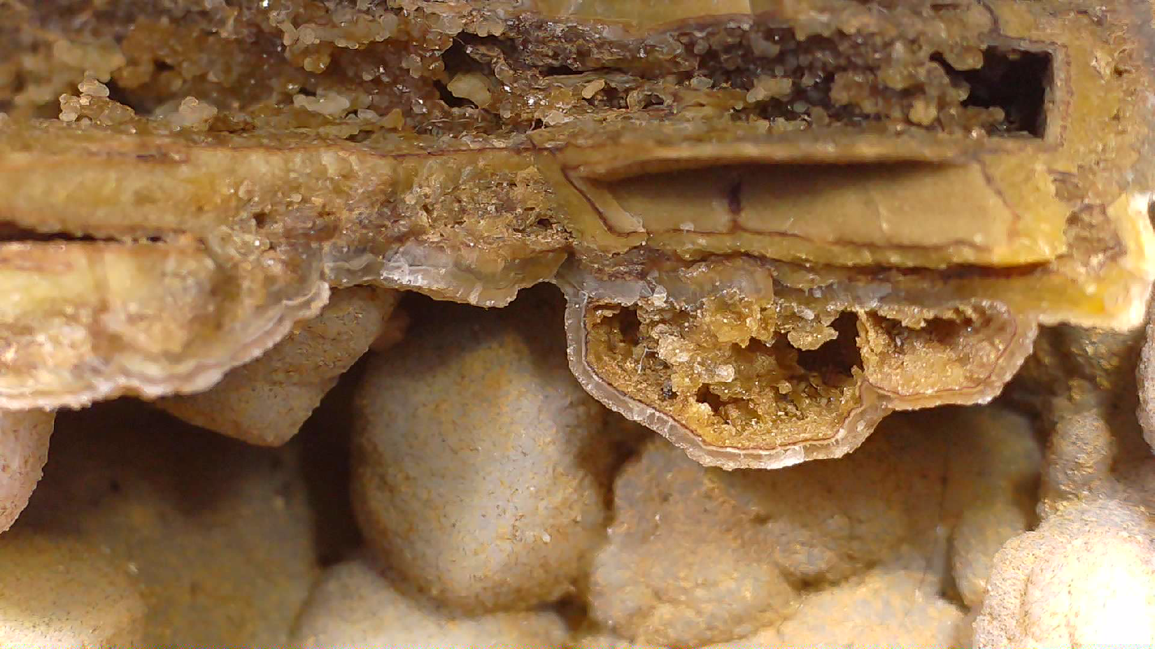 CALCITE PSEUDO after ANDRADITE