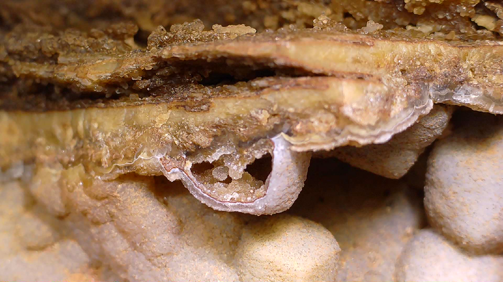 CALCITE PSEUDO after ANDRADITE