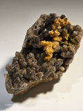STOLZITE ON QUARTZ (small cabinet), KARA MINE, HAMPSHIRE, TASMANIA (ONLY SPECIMEN KNOWN)