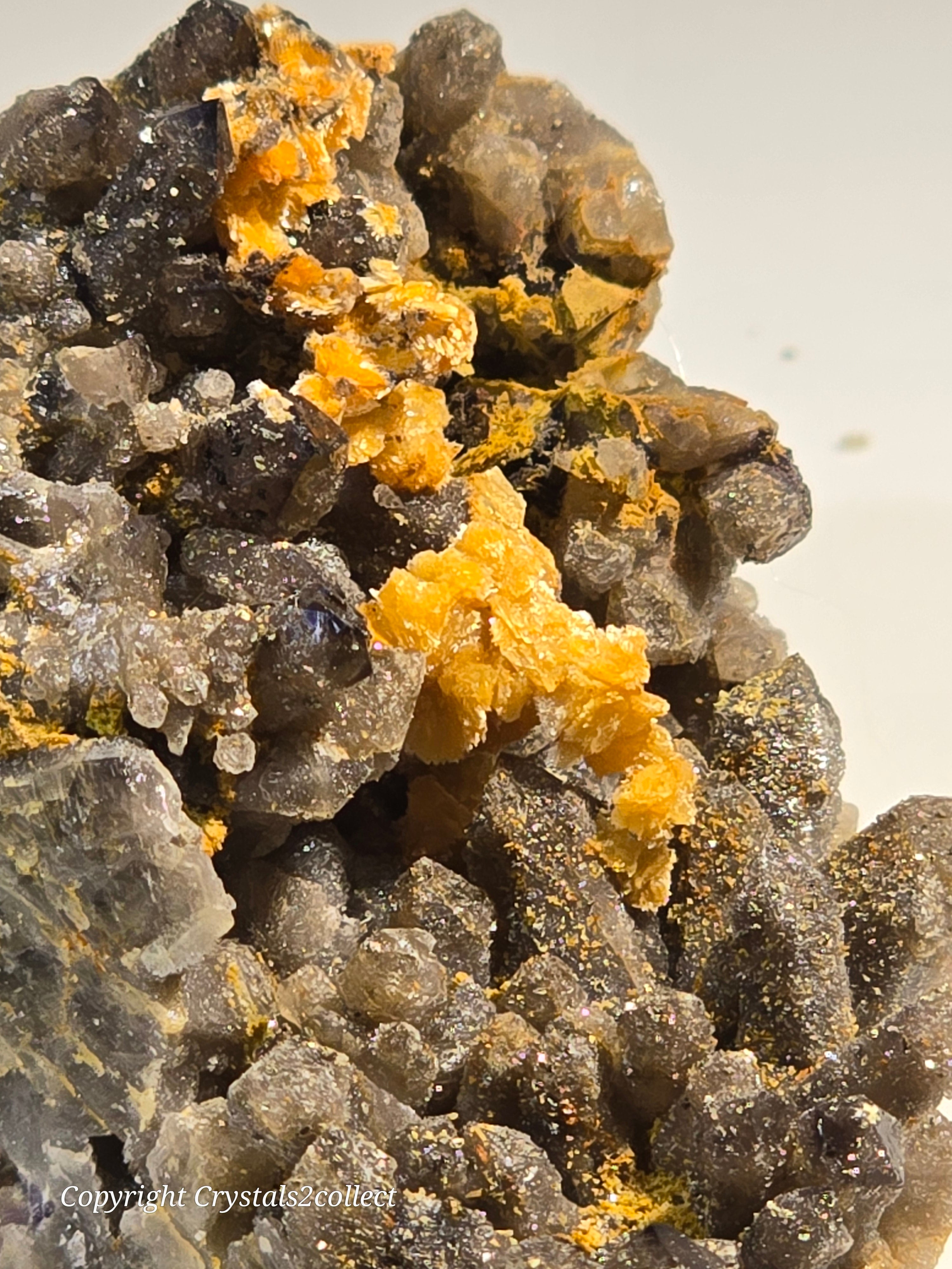 STOLZITE ON QUARTZ (small cabinet), KARA MINE, HAMPSHIRE, TASMANIA (ONLY SPECIMEN KNOWN)
