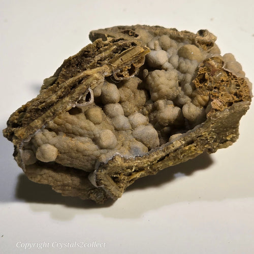 Botryoidal Hematite mineral specimen with earthy texture, natural geological formation
