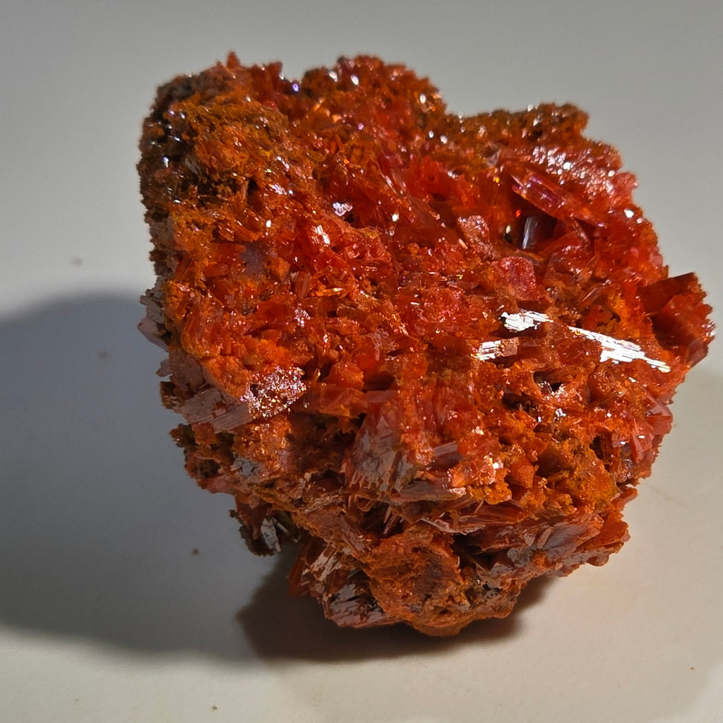 CROCOITE (miniature),  RED LEAD MINE, TASMANIA