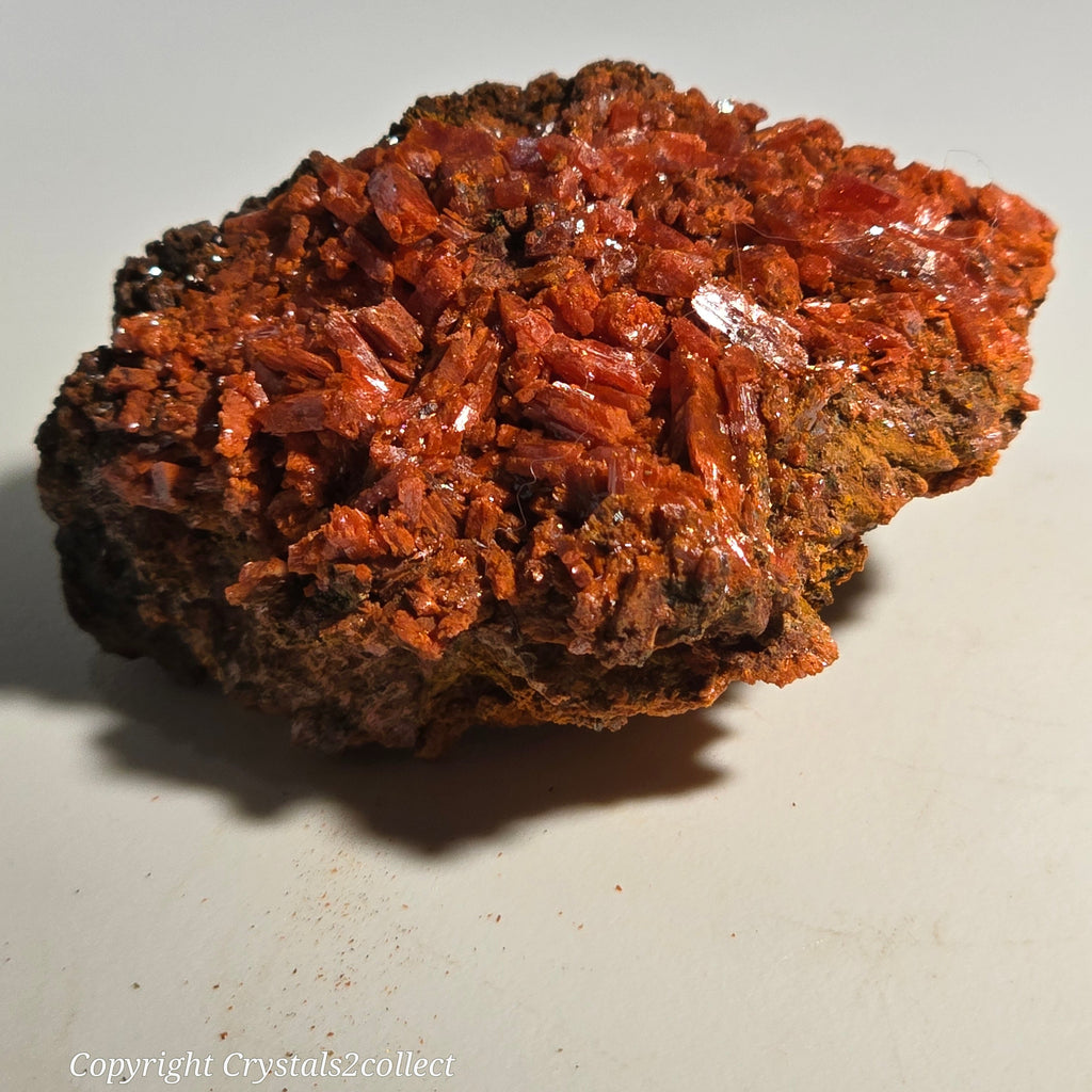 CROCOITE (miniature)