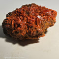 CROCOITE (miniature),  RED LEAD MINE, TASMANIA