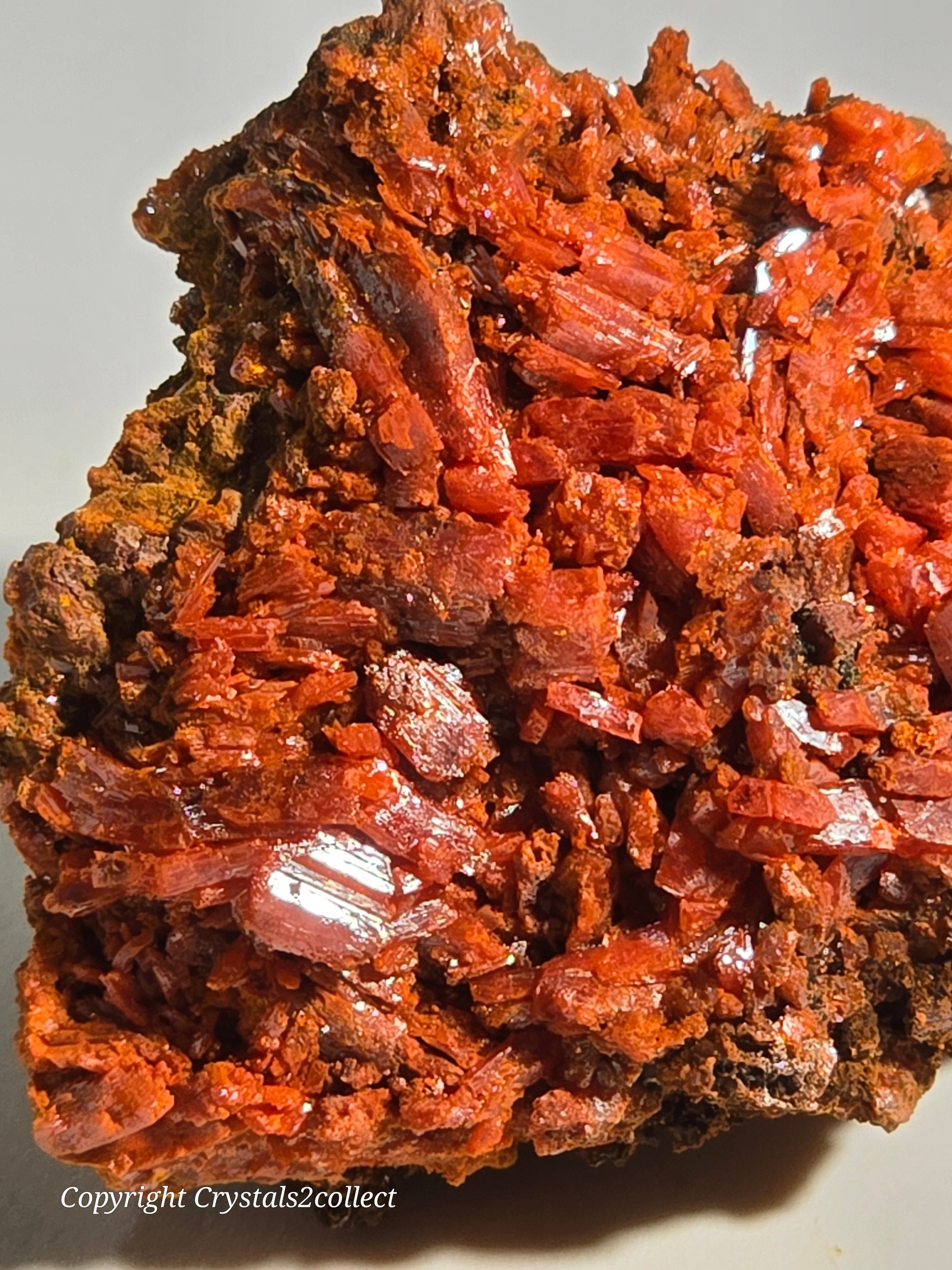 CROCOITE (miniature)