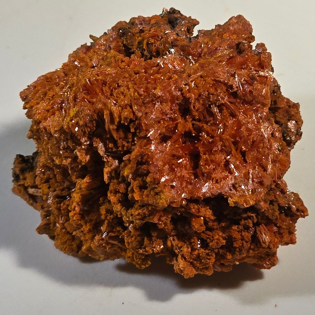 CROCOITE (miniature),  RED LEAD MINE, TASMANIA