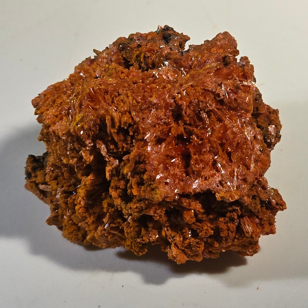 CROCOITE (miniature),  RED LEAD MINE, TASMANIA