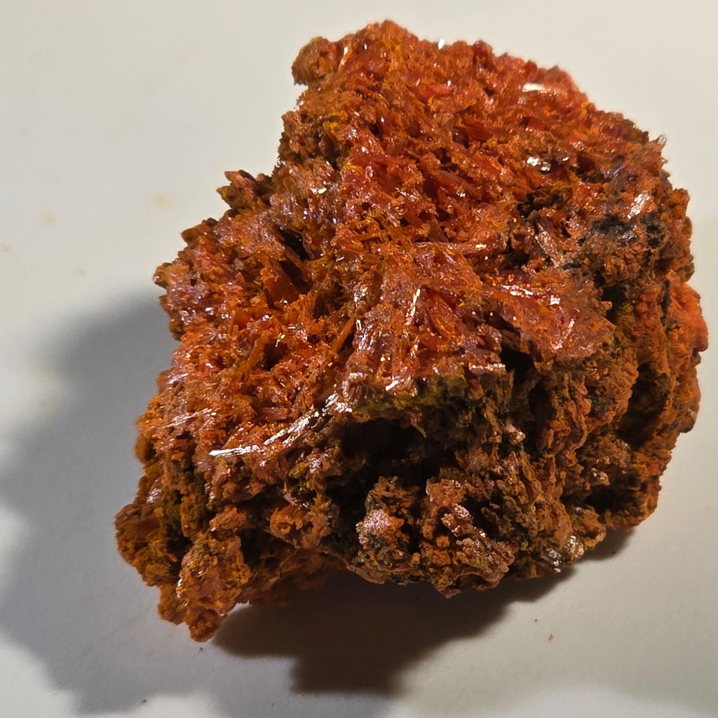 CROCOITE (miniature),  RED LEAD MINE, TASMANIA