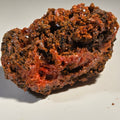 CROCOITE (miniature),  RED LEAD MINE, TASMANIA