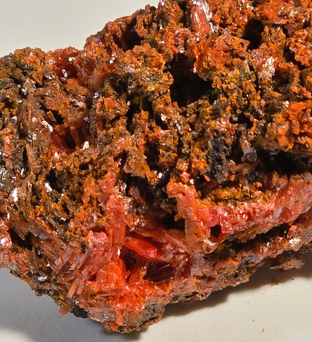 CROCOITE (miniature),  RED LEAD MINE, TASMANIA