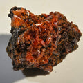 CROCOITE (miniature),  RED LEAD MINE, TASMANIA