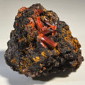 CROCOITE (miniature),  RED LEAD MINE, TASMANIA