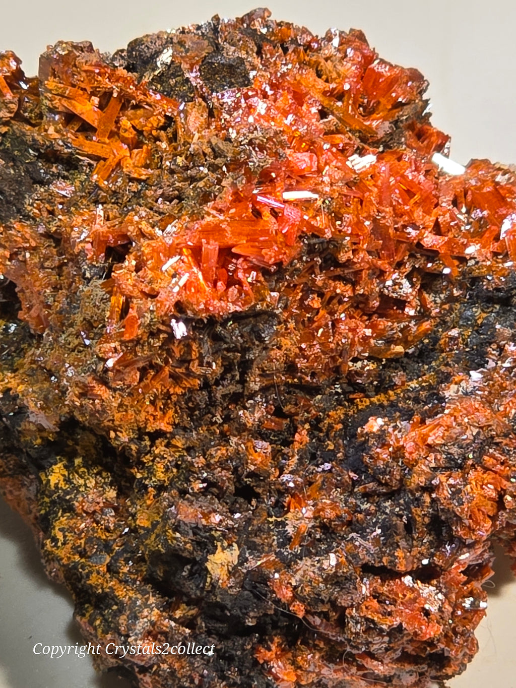 CROCOITE (MINIATURE),  RED LEAD MINE, TASMANIA