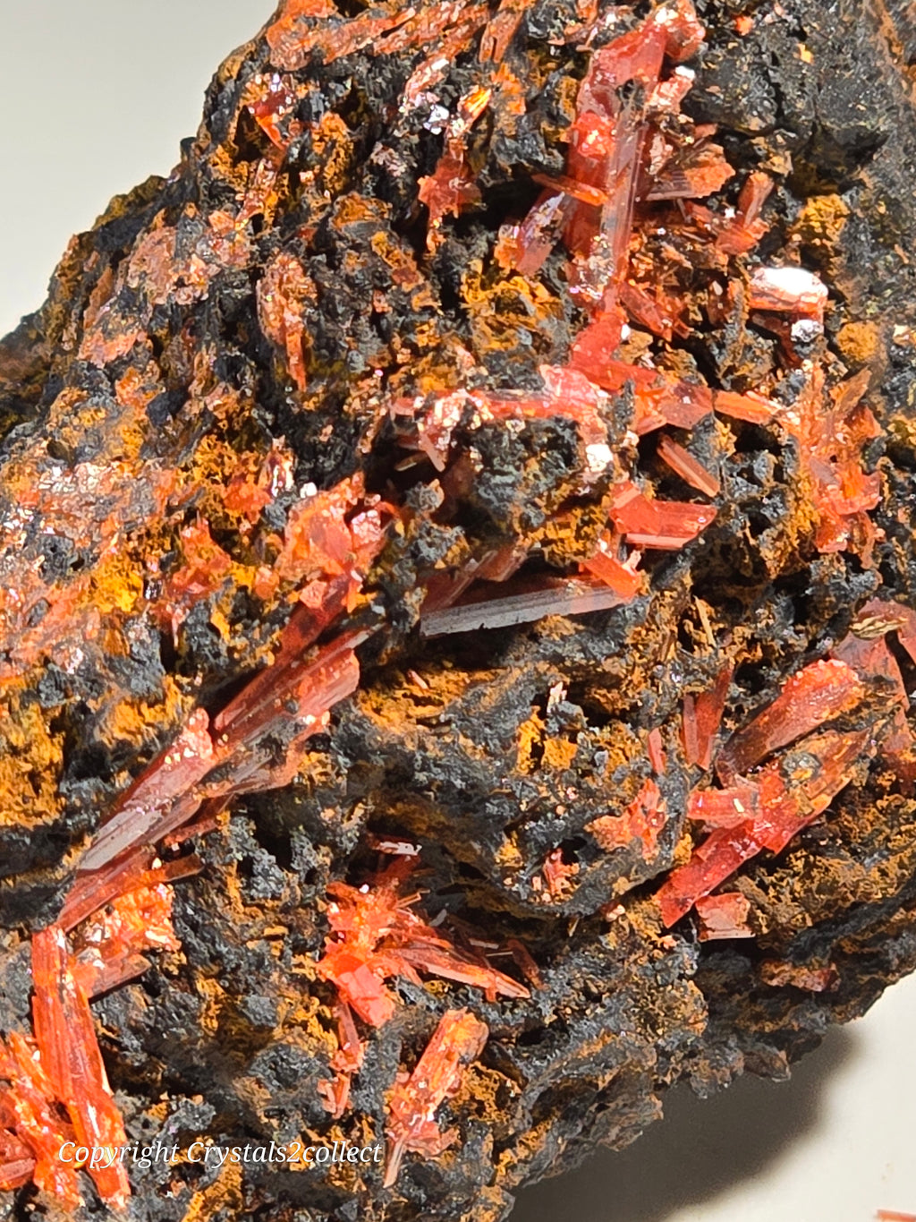 CROCOITE (SMALL CABINET),  RED LEAD MINE, TASMANIA