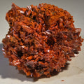 CROCOITE (MINIATURE),  RED LEAD MINE, TASMANIA