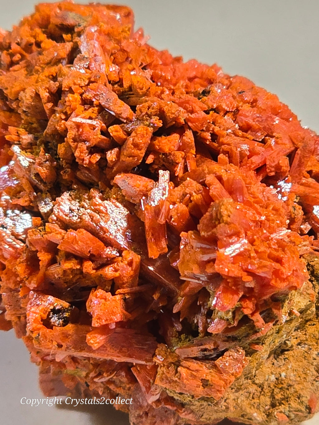 CROCOITE (MINIATURE),  RED LEAD MINE, TASMANIA