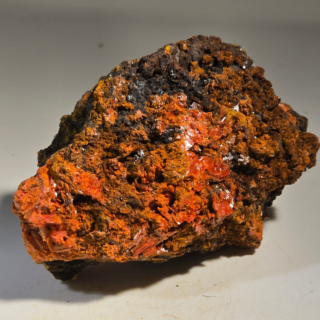 CROCOITE (SMALL CABINET),  RED LEAD MINE, TASMANIA