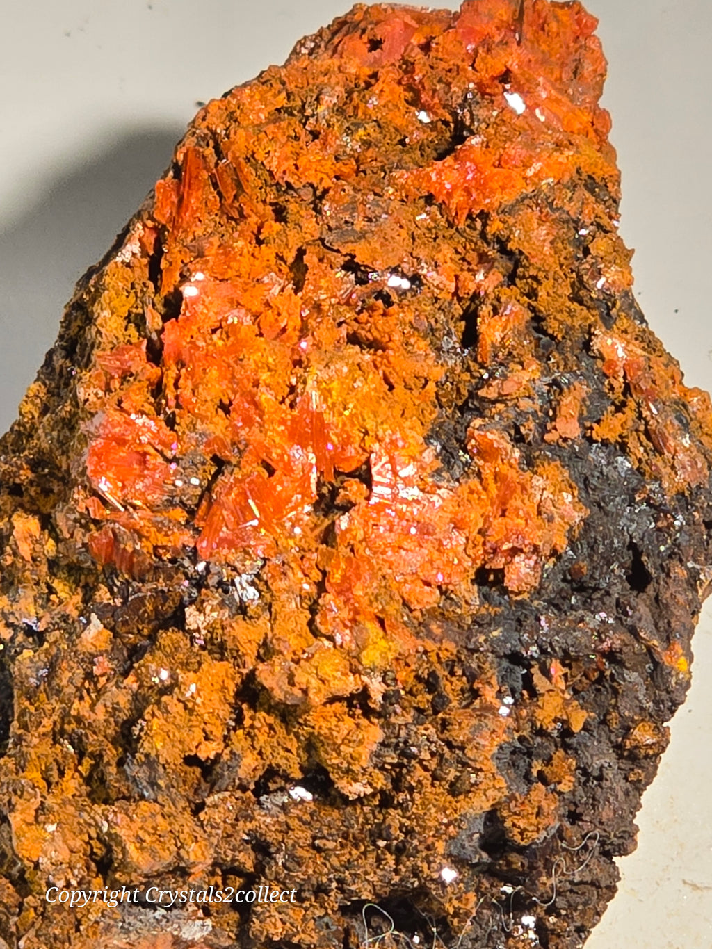 CROCOITE (SMALL CABINET),  RED LEAD MINE, TASMANIA